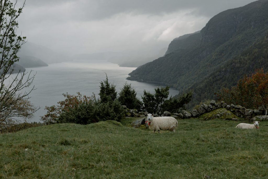 paysage de norvège